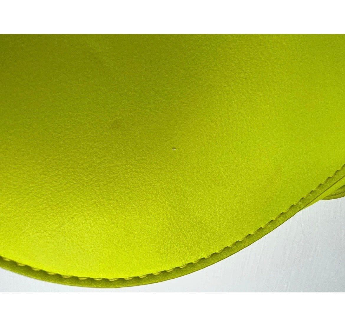 Citron Saddle Bag πΎβ¨π