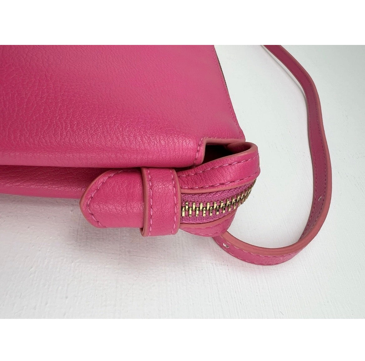 Dragon Fruit Crossbody 👛✨💖