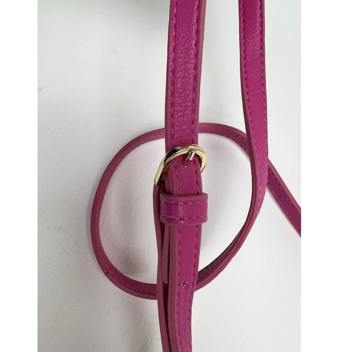 Dragon Fruit Crossbody 👛✨💖