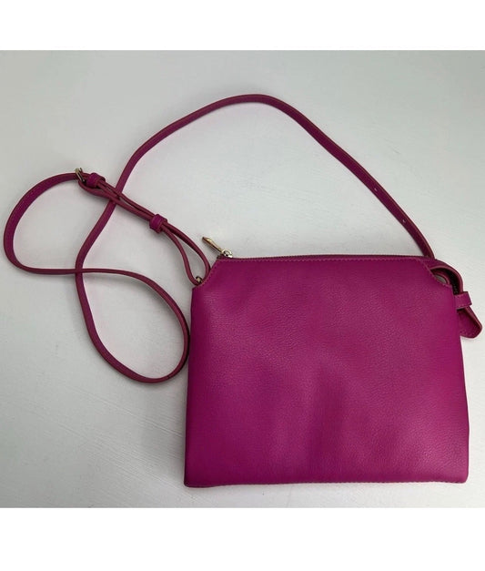 Dragon Fruit Crossbody 👛✨💖